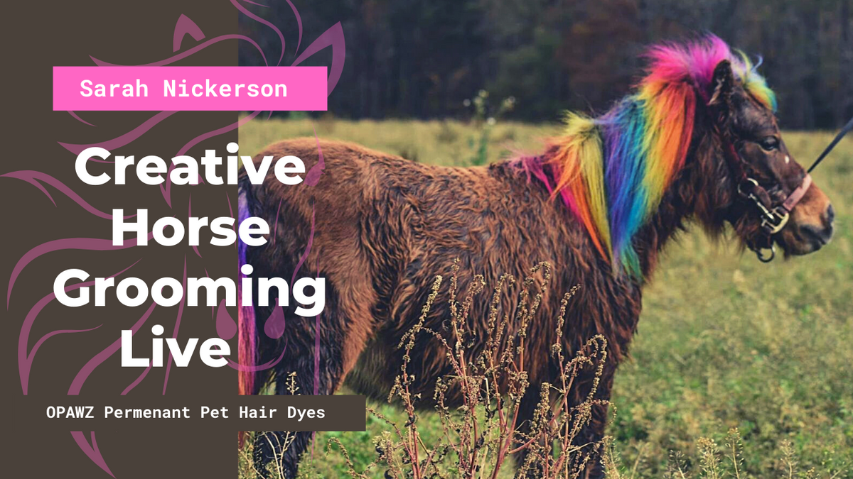 Learning Colors, Rainbow Horse with Glitter, Colorful horse