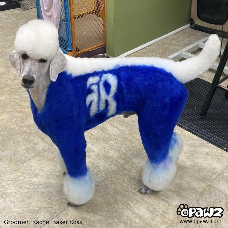 Cobalt Blue Dog Hair Dye by OPAWZ - Lasts 20 Washes