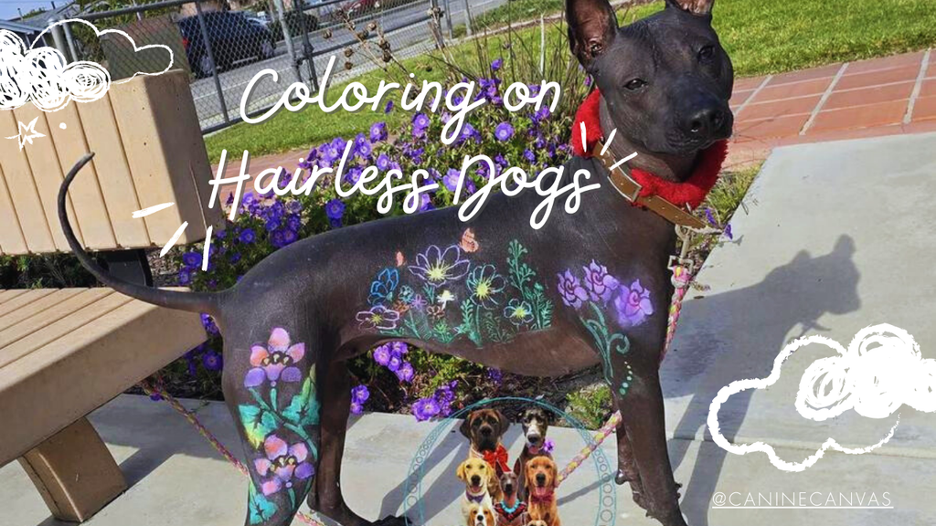 Coloring on Hairless Dogs
