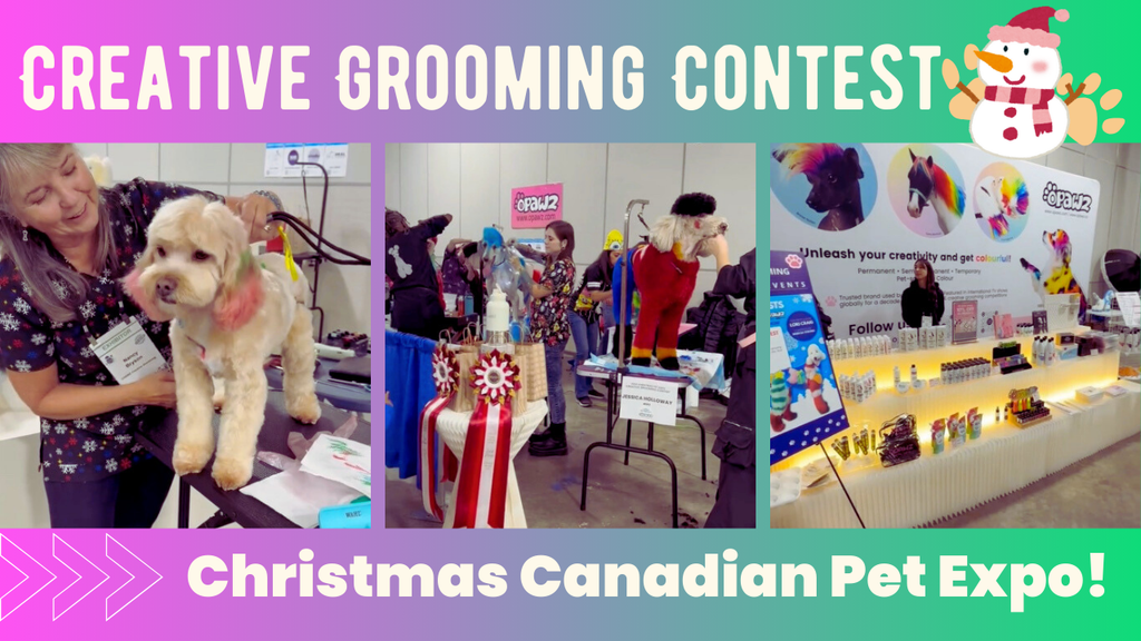 OPAWZ Canada Creative Grooming Contest at the Christmas Canadian Pet Expo 2024