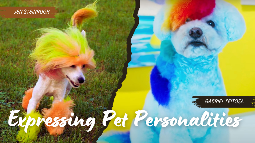 Expressing Pet Personalities with Creative Dog Styling