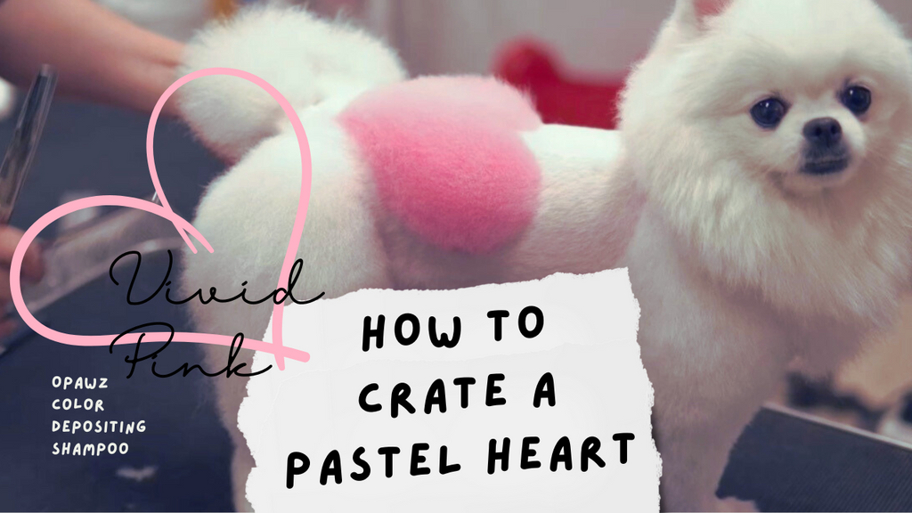 Let's Create A Cute Pastel Heart With OPAWZ Color Depositing Shampoo!