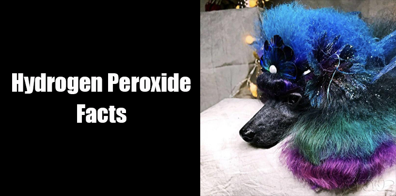 Hydrogen Peroxide Facts OPAWZ