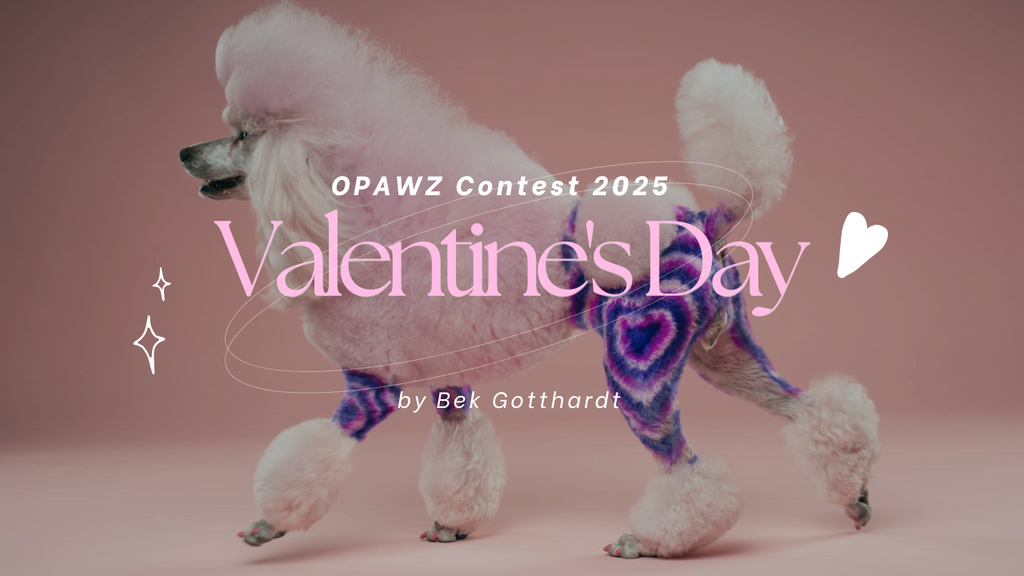 OPAWZ Valentine’s Day Creative Dog Grooming Contest 2025