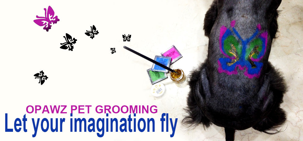 Let the fur fly best sale mobile grooming