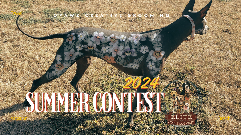 OPAWZ Summer Creative Dog Grooming Contest 2024