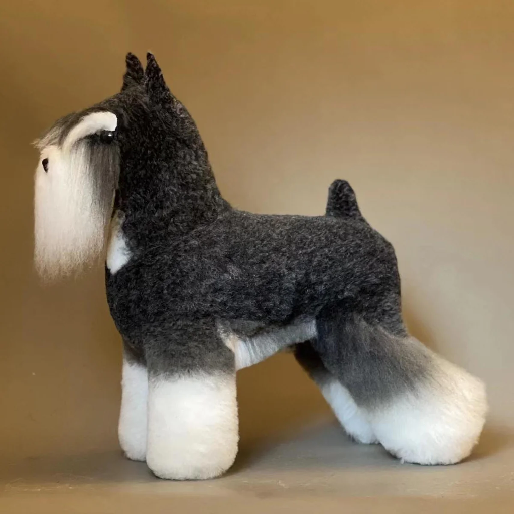 Schnauzer Model Dog