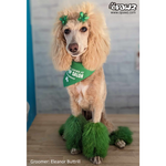 Tinte para el pelo de perro-Verde bosque (PD21)