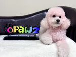 OPAWZ Creative Grooming Club Acrylic Sign