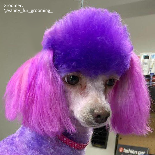 OPAWZ Permanent Pet Hair Dye in Charm Pink | Ryan's Pet Grooming Supplies