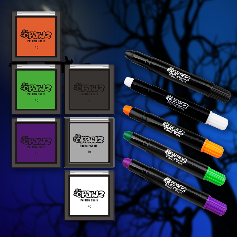 Pack économique Halloween - Craie et stylos à peinture (VP44)