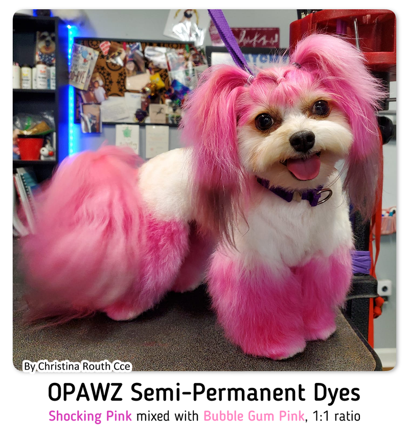 Gum Semi-Permanent Pink OPAWZ Dog Dye - Hair Bubble
