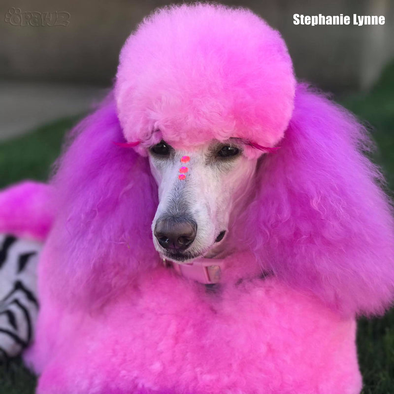 why are dogs pink